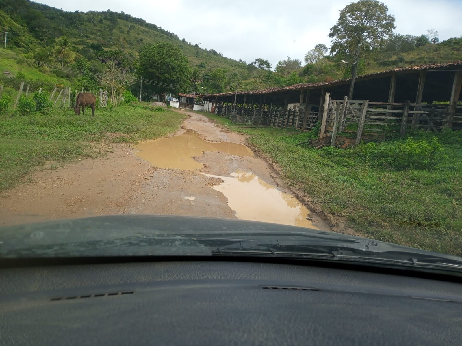 estrada no Timbó indo para o caco de cuia