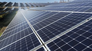 Minas Gerais é líder em energia solar no Brasil