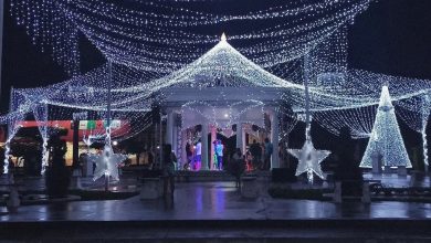 Tradicional iluminação do Natal de Luz é inaugurada em Amargosa