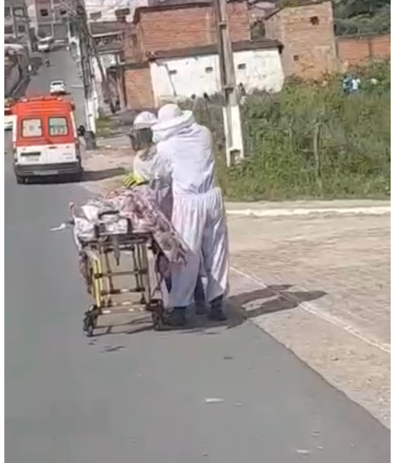 Homem é hospitalizado após ser atacado por abelhas em Santo Antônio