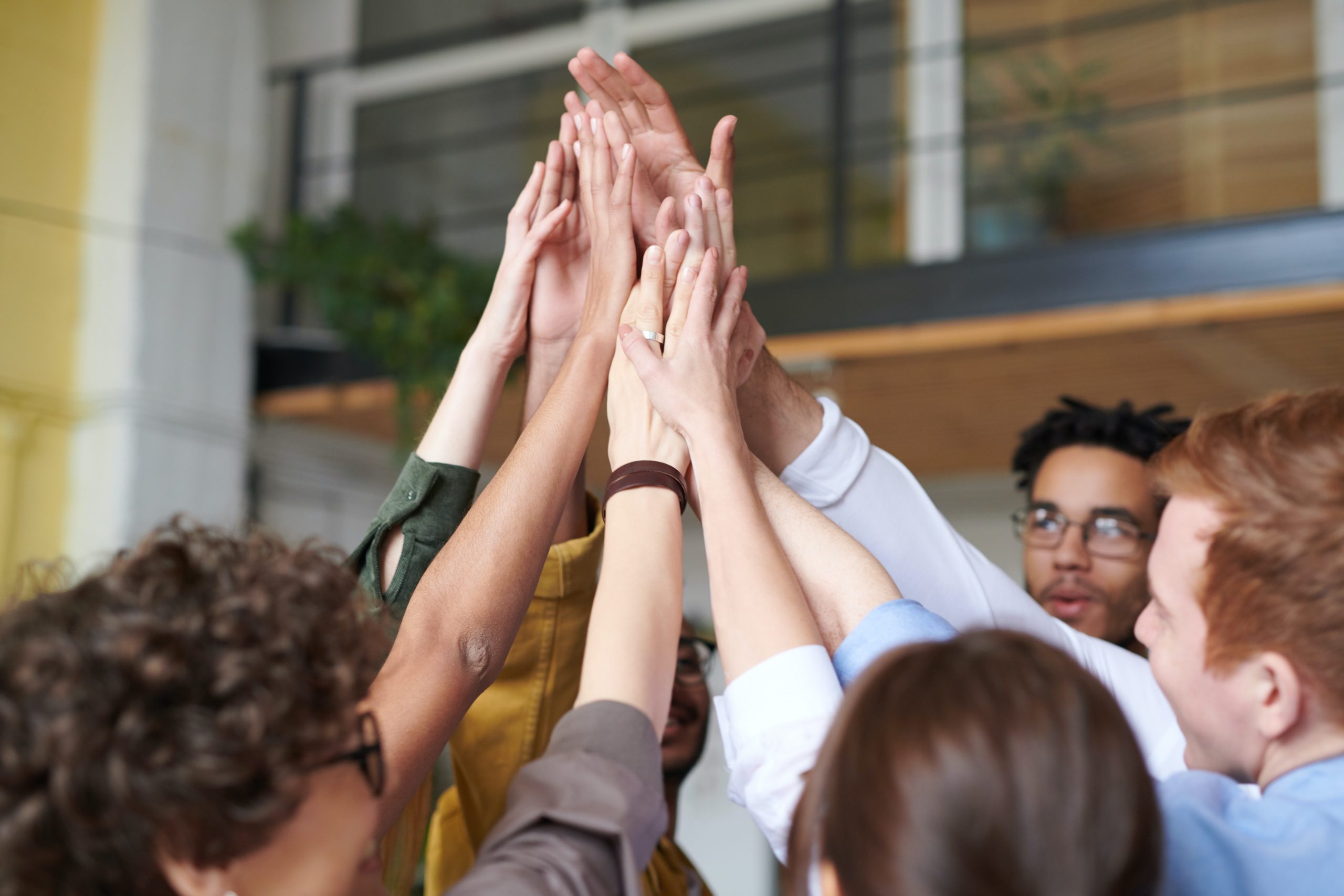 Entenda como estabelecer uma cultura empresarial forte