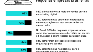 Brasil lidera virada digital empreendedora, diz pesquisa da GoDaddy no Sebrae