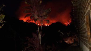 Incêndio é registrado em área de vegetação na zona rural de Amargosa