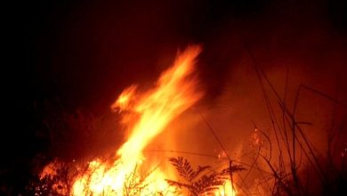 Incêndio na localidade do São Bento, divisa com Amargosa e Brejões, deixa moradores preocupados