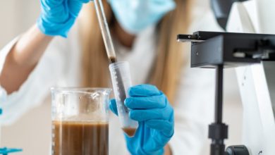 Transplante de fezes avança no SUS como opção de tratamento para infecções resistentes a antibióticos