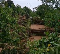 Várias árvores caem próximo a Corta-Mão em Amargosa e deixa estrada interditada após temporal