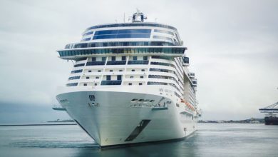 Mais de 18 mil turistas são recepcionados pela BPtur no Porto durante o carnaval