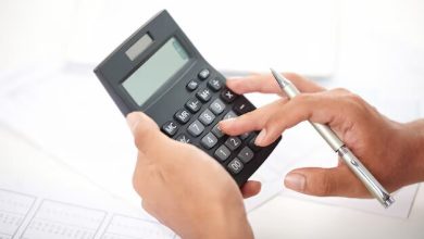 Leão divulga as regras para o Imposto de Renda da Pessoa Física 2024 - calculadora