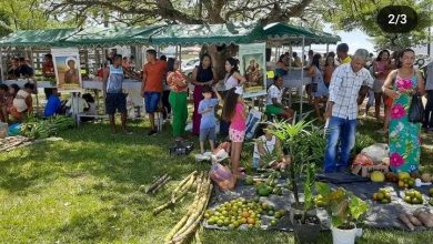 Paróquia Nossa Senhora do Bom Conselho em Amargosa promove tradicional Feira Chique no próximo domingo, 14