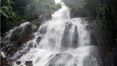 Comitê das Bacias Hidrográficas do Recôncavo Sul amplia capacidade com parceria da CODEVASF - cachoeira