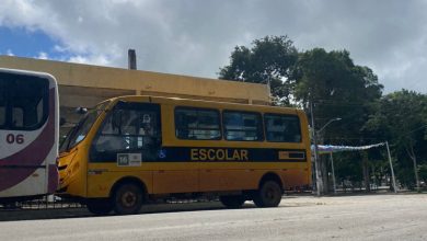 Transporte escolar beneficia mais de 3 mil crianças e adolescentes em Amargosa - ônibus amarelinho