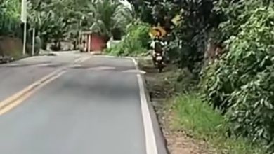 Condutores precisam desviar dos quebra-molas na BA 539, próximos a São Miguel das Matas