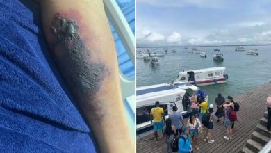 Turista morre após ser picado por aranha-marrom em Morro de São Paulo