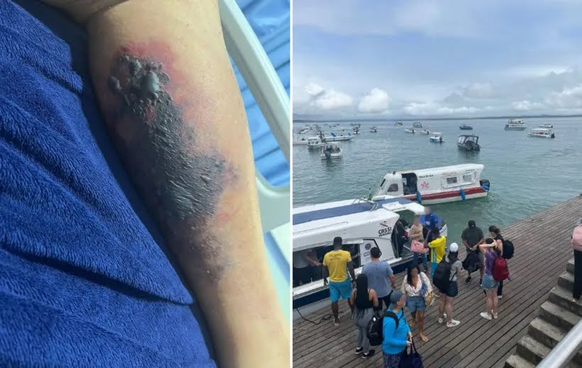 Turista morre após ser picado por aranha-marrom em Morro de São Paulo