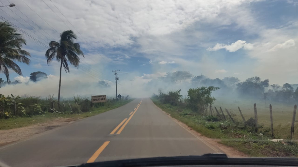 Fumaça invade BA 026 e oferece perigo para quem trafega próximo a Amargosa