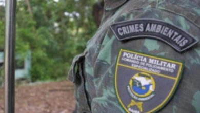 Operação Venator combate caça ilegal e tráfico de animais no Vale do Jiquiriçá - Polícia Ambiental Ba