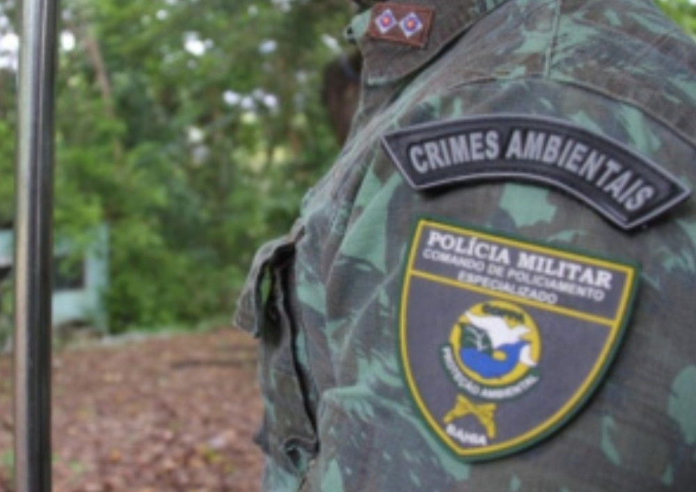 Operação Venator combate caça ilegal e tráfico de animais no Vale do Jiquiriçá - Polícia Ambiental Ba