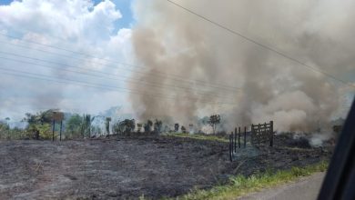 Fogo consome vegetação na rodovia BA 001, próximo a entrada de Salinas da Margarida