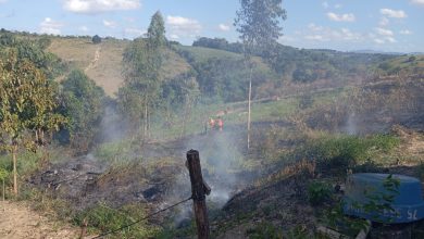 Fogo volta a atingir vegetação no Loteamento Jardim das Hortências em São Miguel das Matas