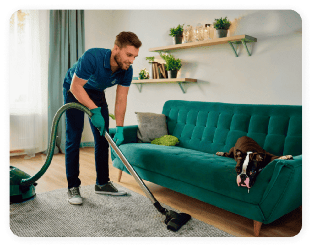 Lares com pets precisam de cuidados especiais na limpeza