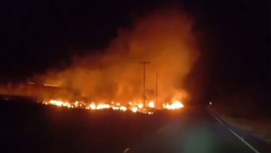 Incêndio é registrado às margens BA 046, próximo ao distrito de Tartaruga, entre Amargosa e Milagres