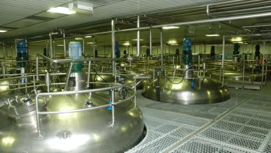 Leite Fermentado Yakult chega aos 90 anos