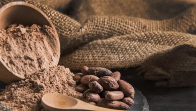 Indústria de cosméticos incorpora ingredientes naturais do cacau em sua produção