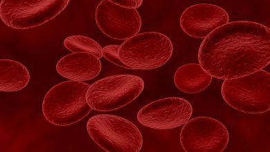 Mielodisplasia: doença silenciosa pode evoluir para leucemia