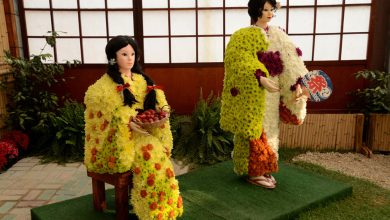 Excursões já se organizam para a Festa de Flores e Morangos