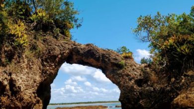 Ilhéus reúne experiências que mostram o sul da Bahia em movimento