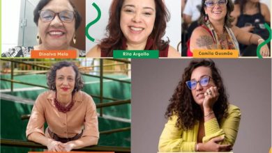 Curadoria da FLICACAU abre trilhas entre meio ambiente e arte