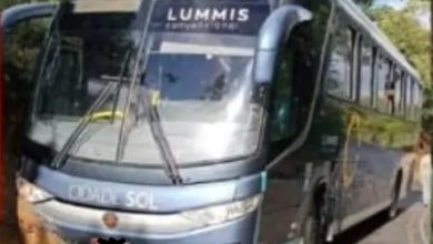 Acidente na BA-026 entre Santo Antônio de Jesus e Amargosa envolve caminhonete e ônibus